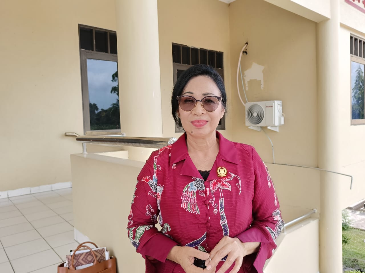 DPRD Barsel Dukung Pengembangan Anyaman Rotan Lewat Festival UMKM