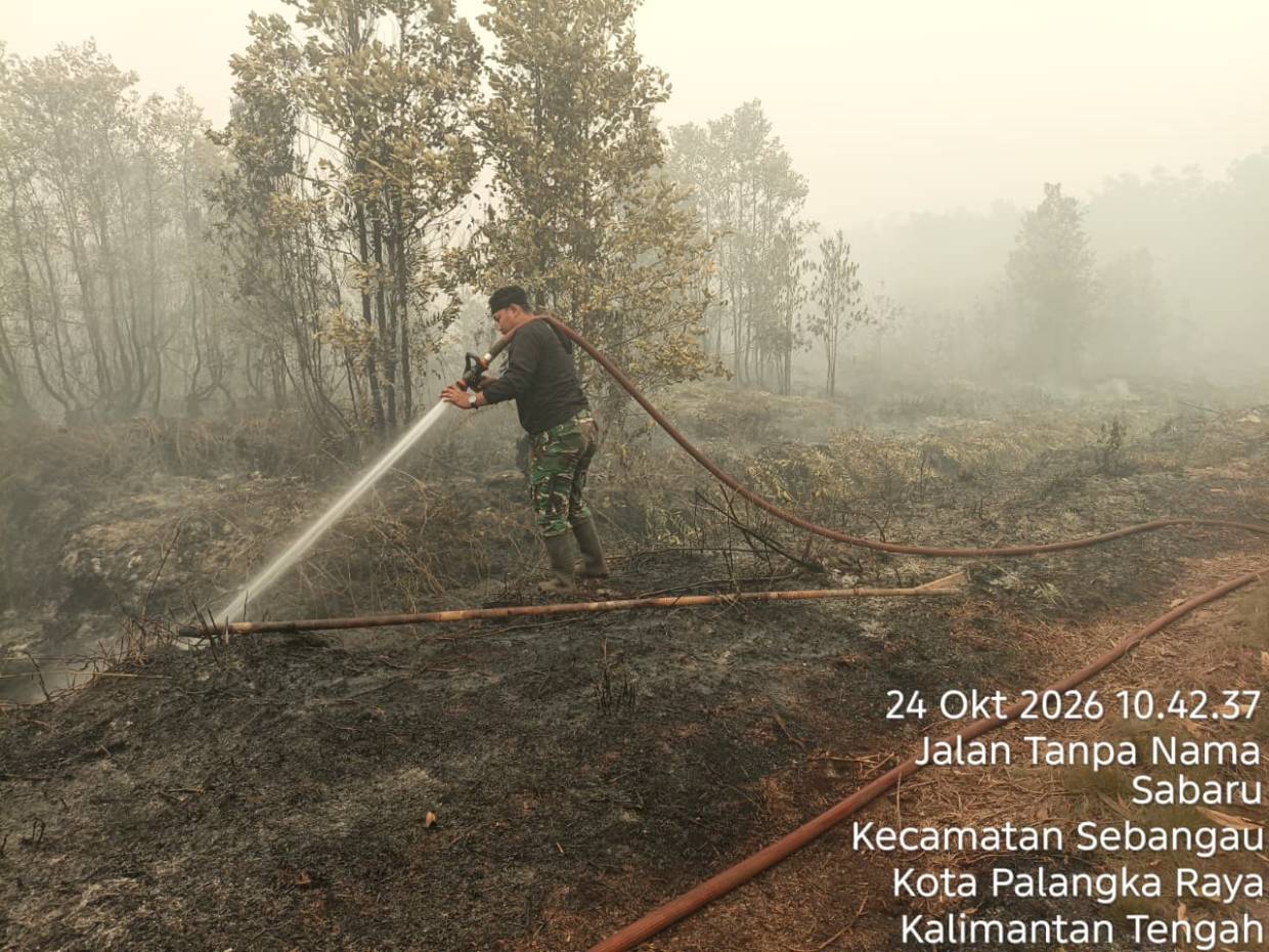 Pemprov Kalteng Intensifkan Pemadaman dan Pengendalian Karhutla di Sejumlah Wilayah Rawan