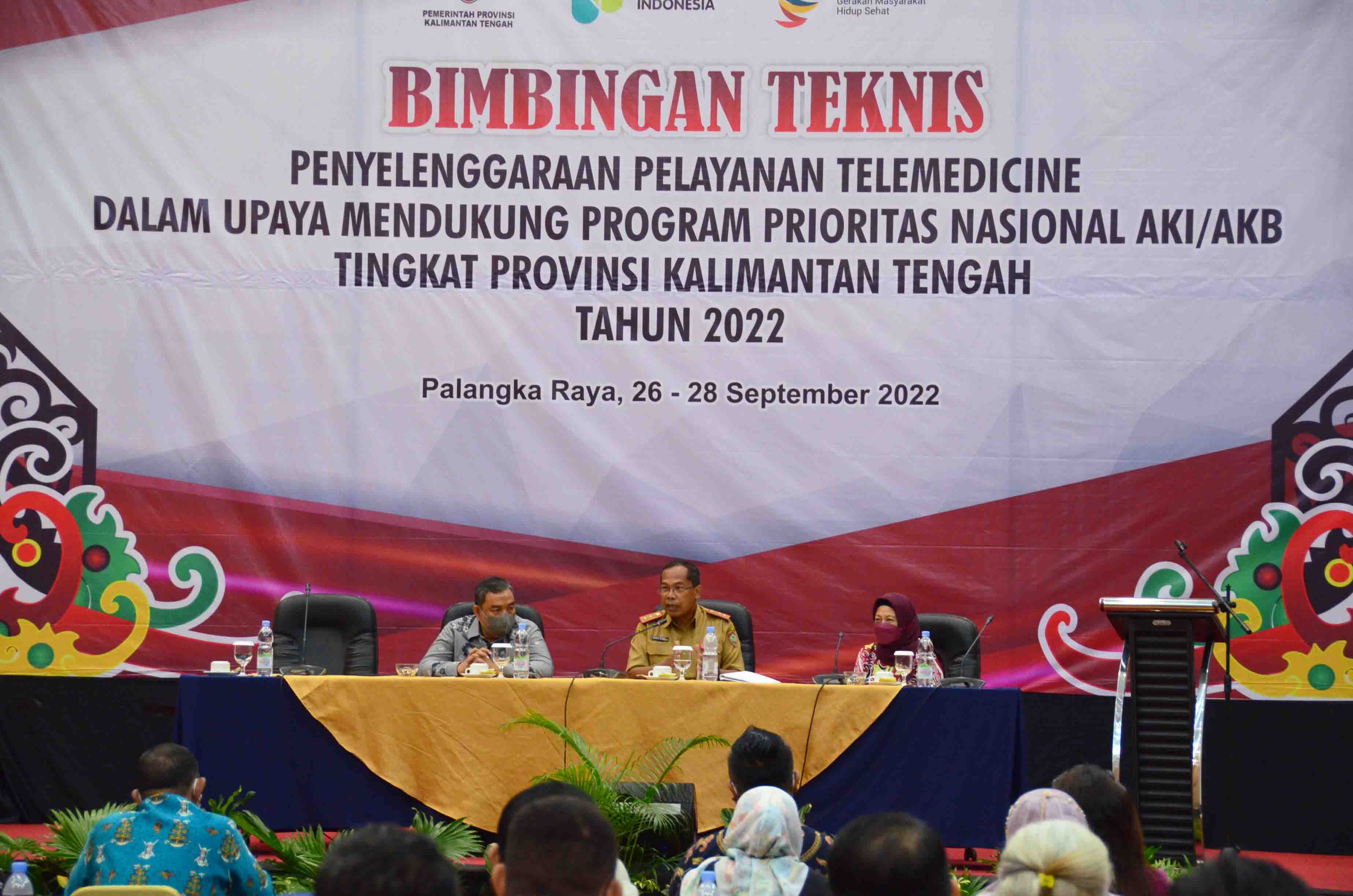 Bimbingan Teknis Penyelenggaraan Pelayanan Telemedicine