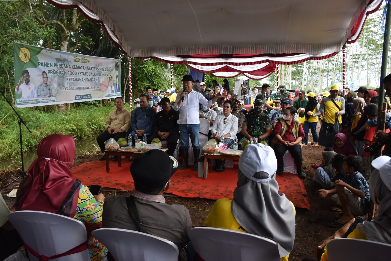 Panen Perdana Kegiatan Ekstensifikasi Padi Program Food Estate