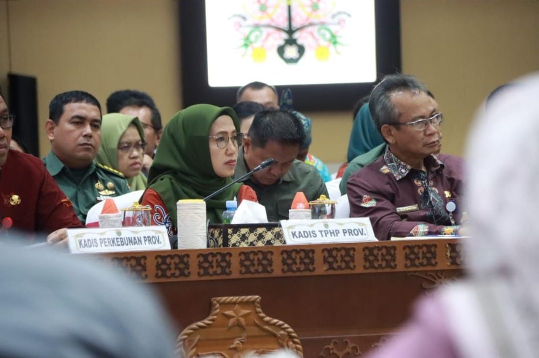Kepala Dinas TPHP Hadiri Rapat Kerja Pemantapan Optimasi Lahan Food Estate Padi Nasional
