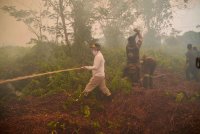 Gubernur Kalteng Agustiar Sabran Turun Langsung Padamkan Karhutla di Ruas Jalan Pangkalan Bun–Kotawaringin Lama