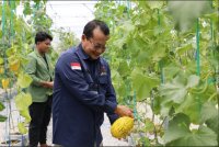 Dinas TPHP Kerjasama dengan Fakultas Pertanian UPN Veteran Yogyakarta Dalam Rangka Penerapan Teknologi Smart Farming